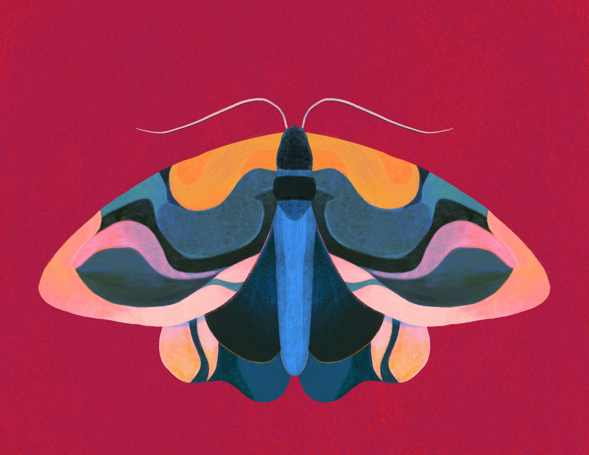 Wings