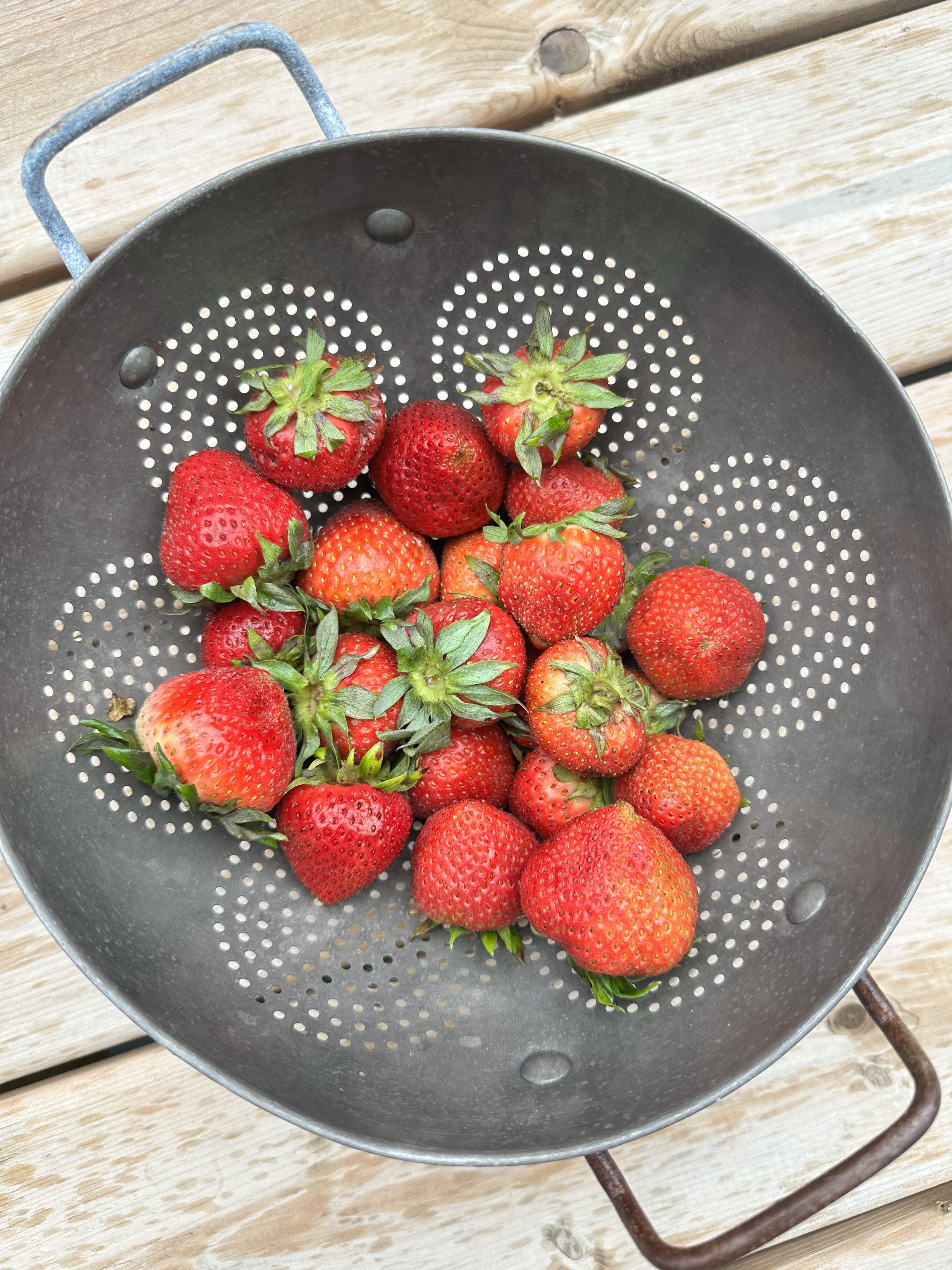 Fresh strawberries, washed in a vintage strainer on a wooden picnic table