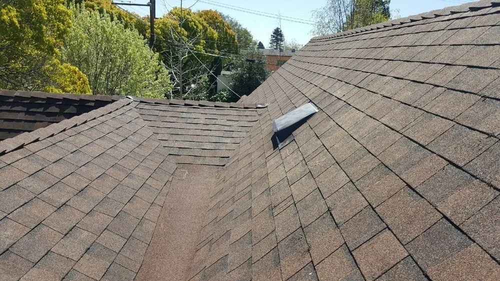 butterfly roof repair and installation