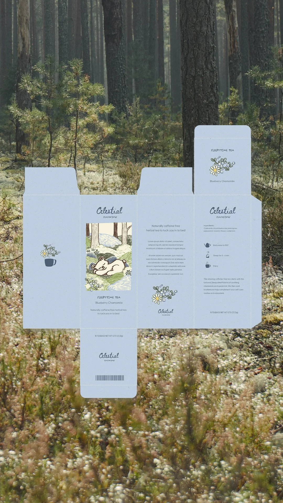 Pappemballasje for teposer brettet ut flatt med et bilde av skog som bakgrunn. mockup design for sleeptime tea med en tegnet sovende bjørn