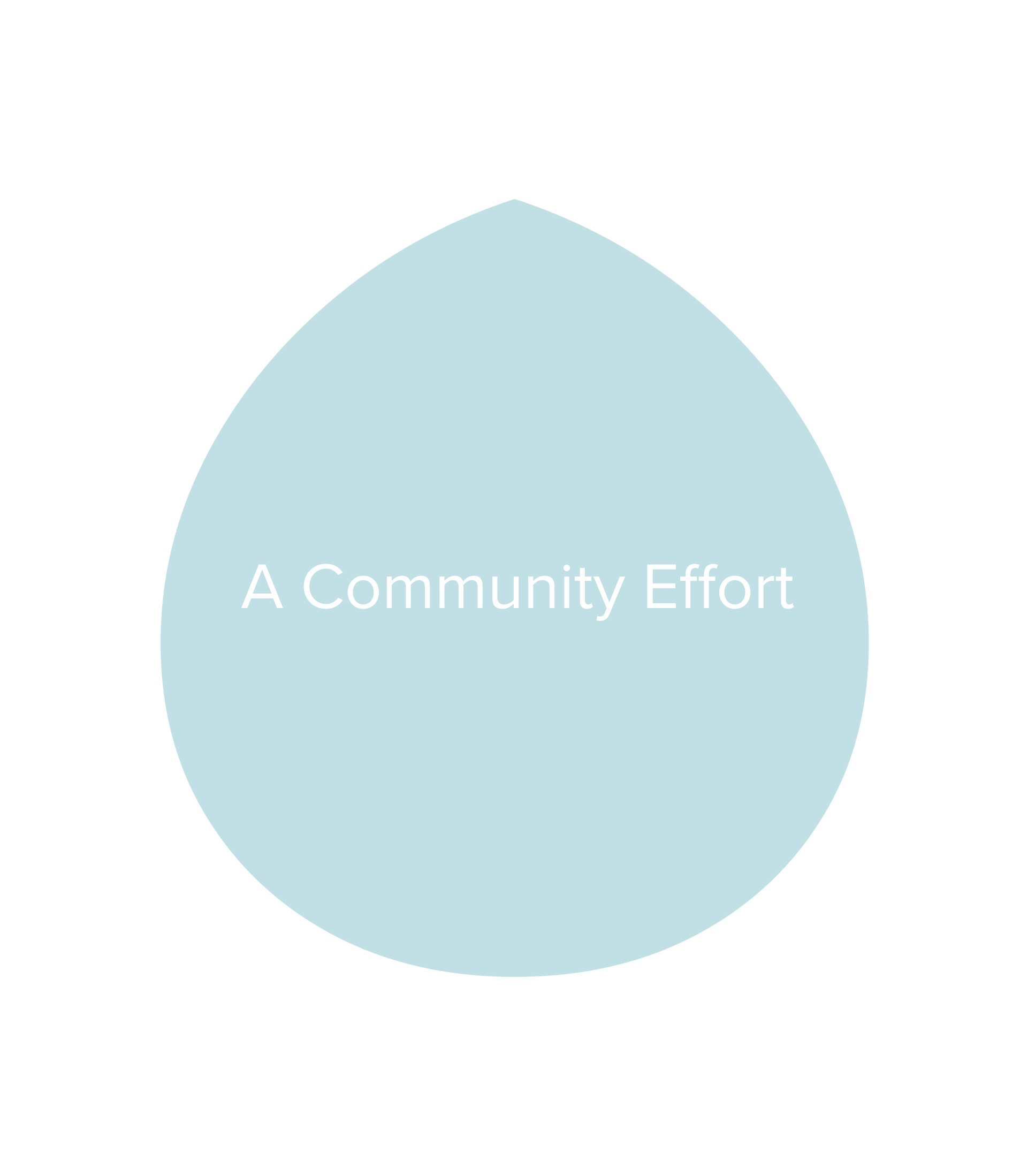 Circle with a light blue background containing white text that reads "A Community Effort".