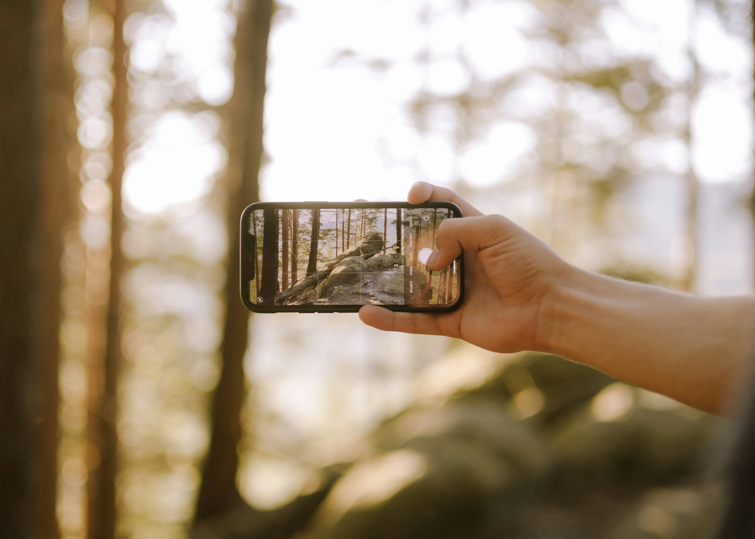 Photography as Meditation: An Experiential Workshop in Mindful Seeing
