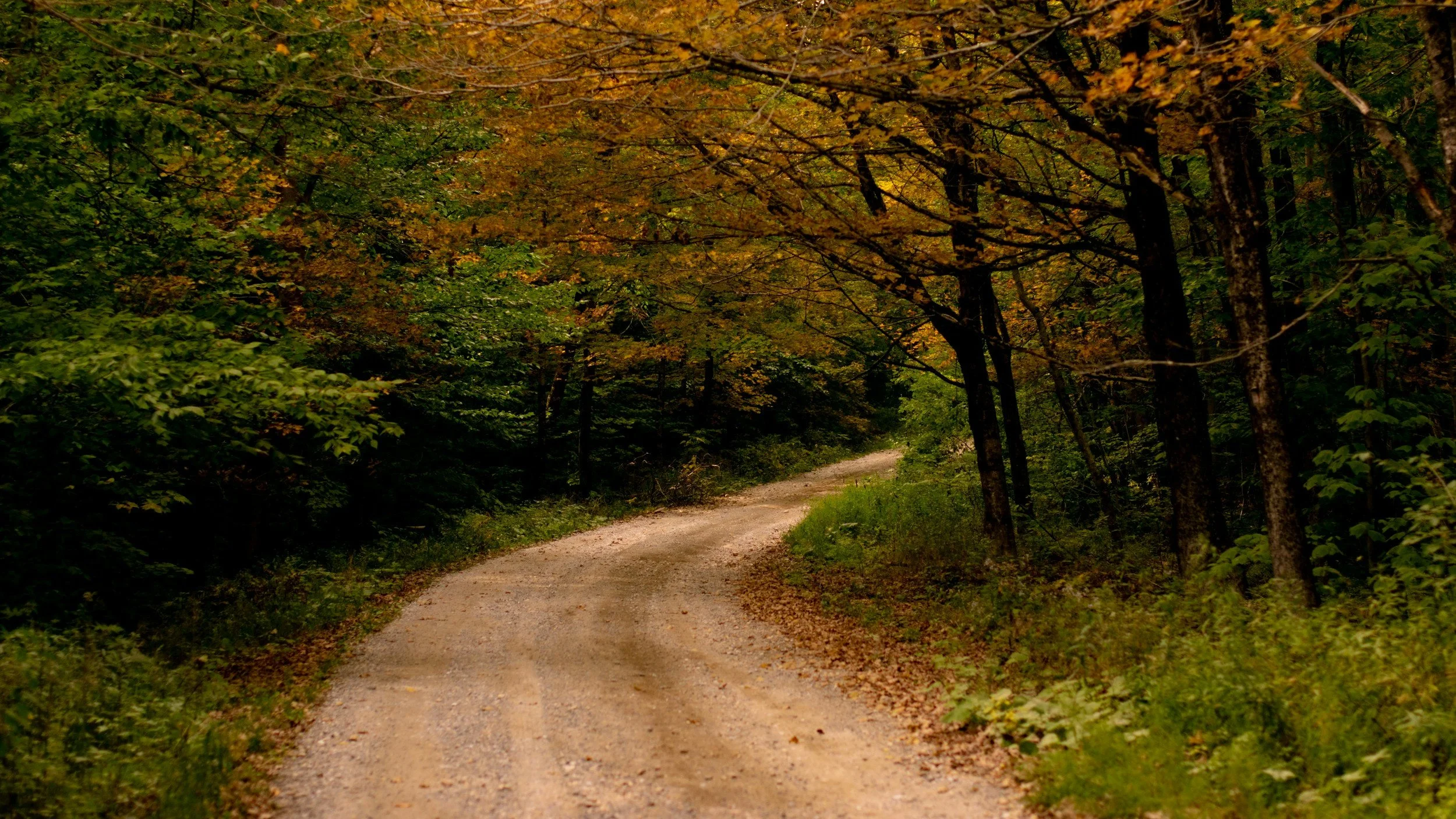 A Daylong Retreat