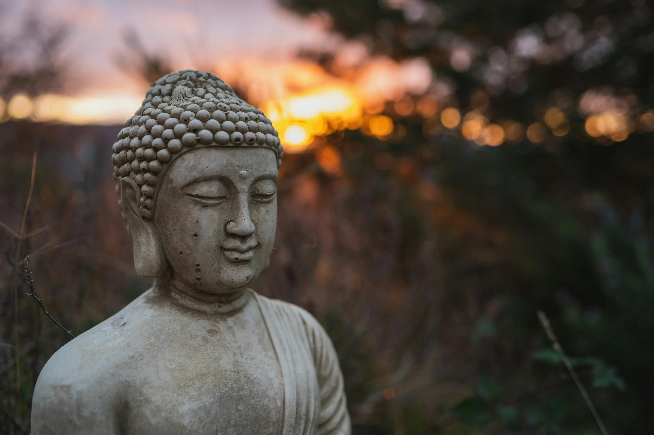 Meditation Practice &amp; Reflection