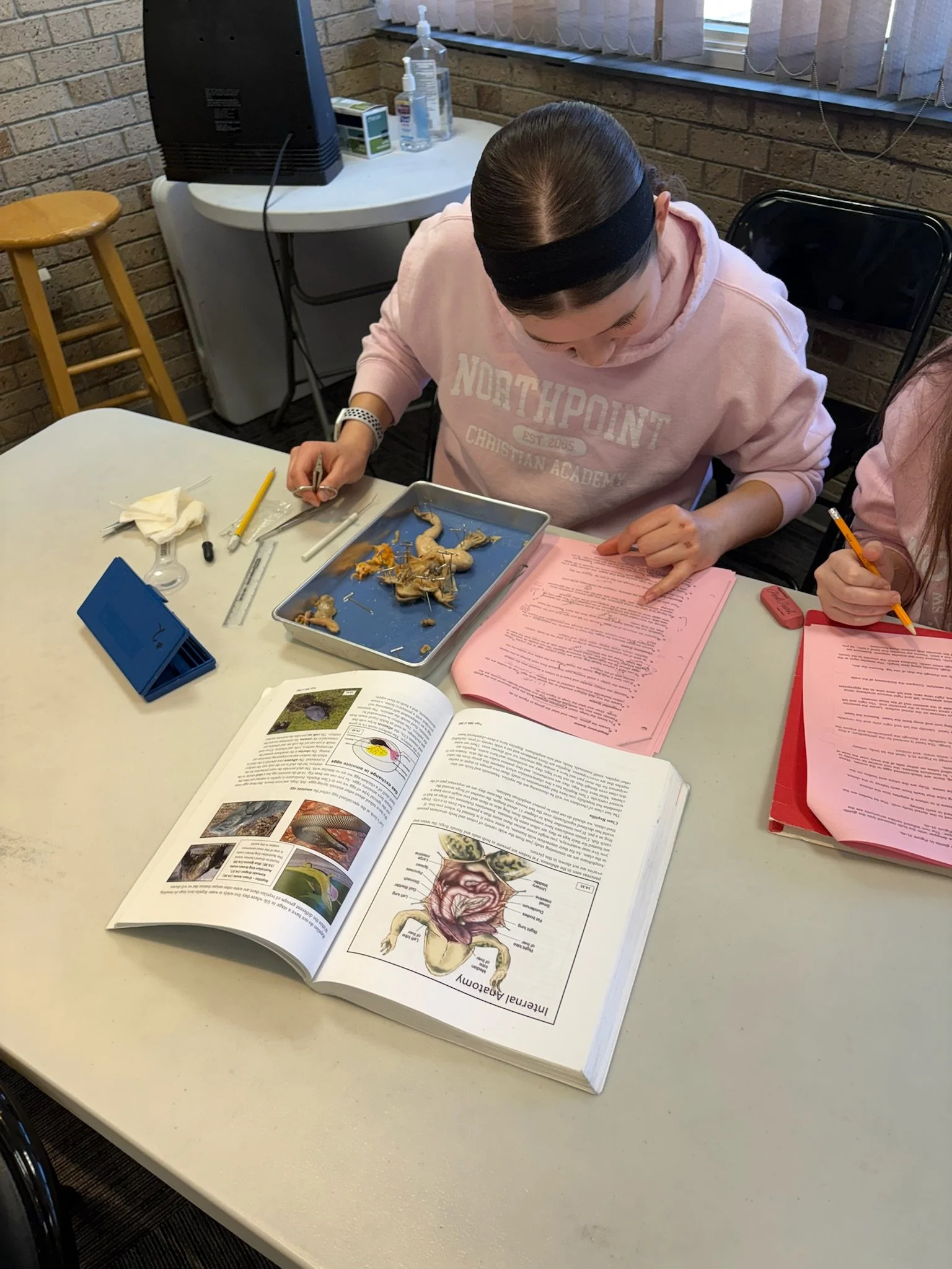 Four young girls playing on tire swings under a wooden play structure at a playground outdoors.