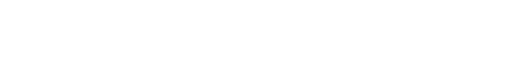 BLUETTI Tier 1 Distributor Logo