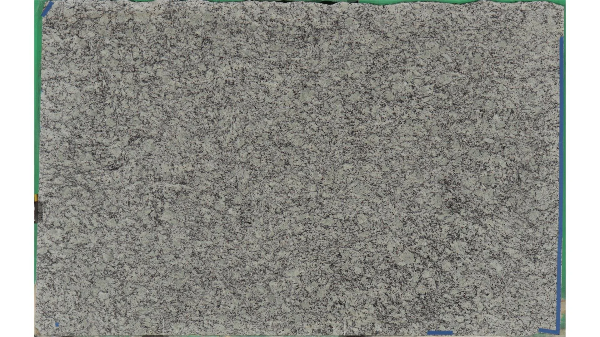 Santa Cecilia Light Leather.jpg