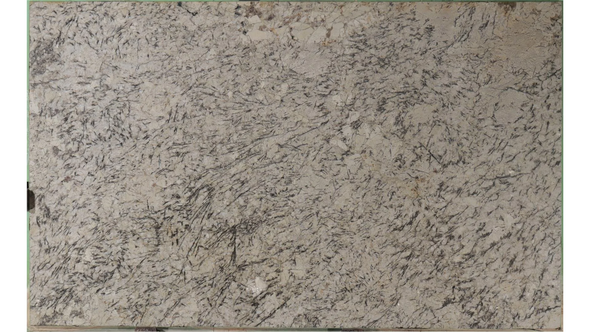 Ice Blue Delicatus.jpg