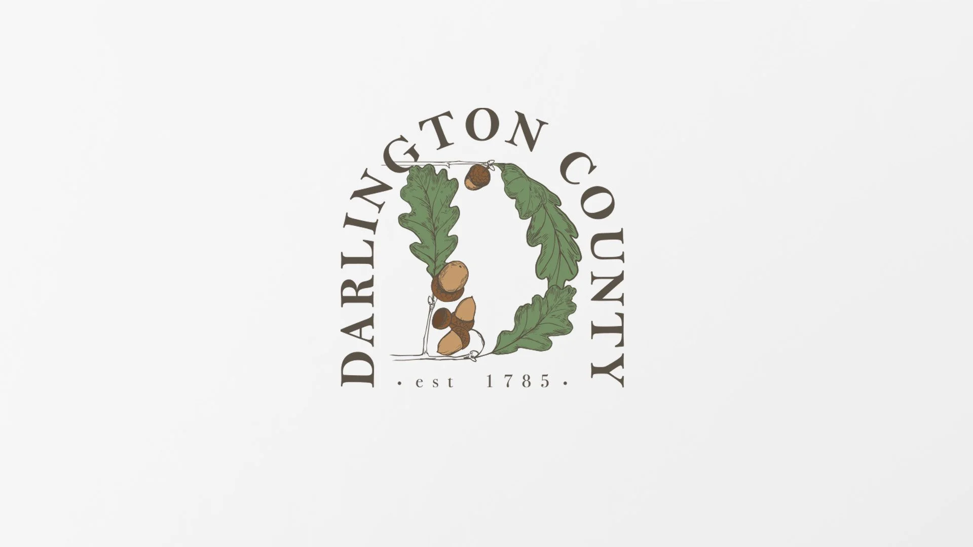 Darlington County Logo.jpg