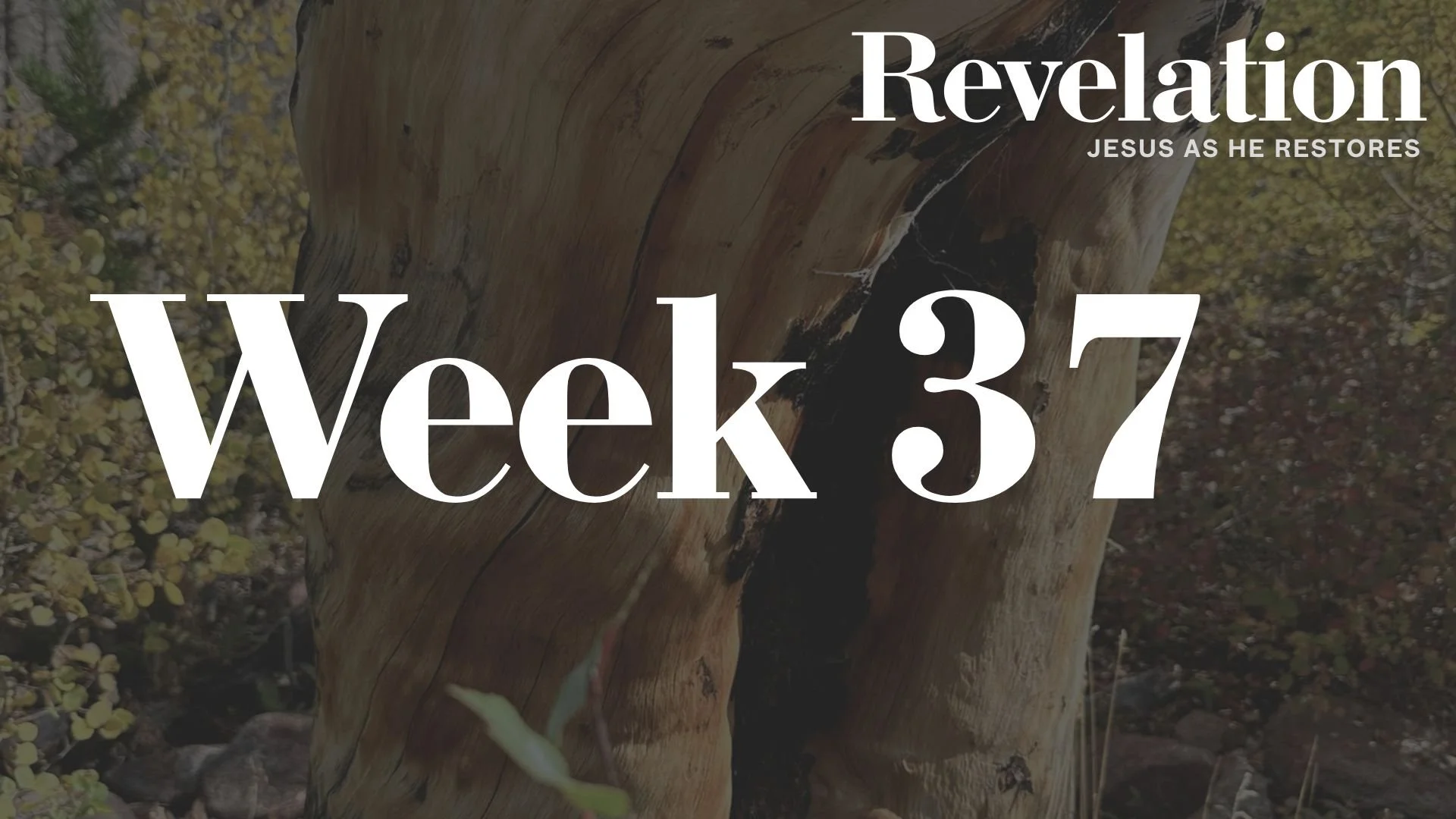 Week 37: Revelation 18 | Fall of Babylon
