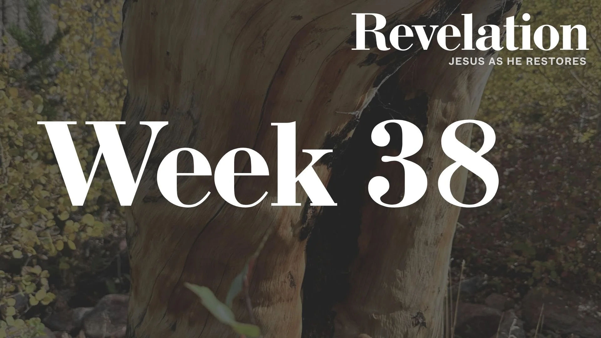 Week 38 Revelation 19:1-10 | Marriage Supper of the Lamb