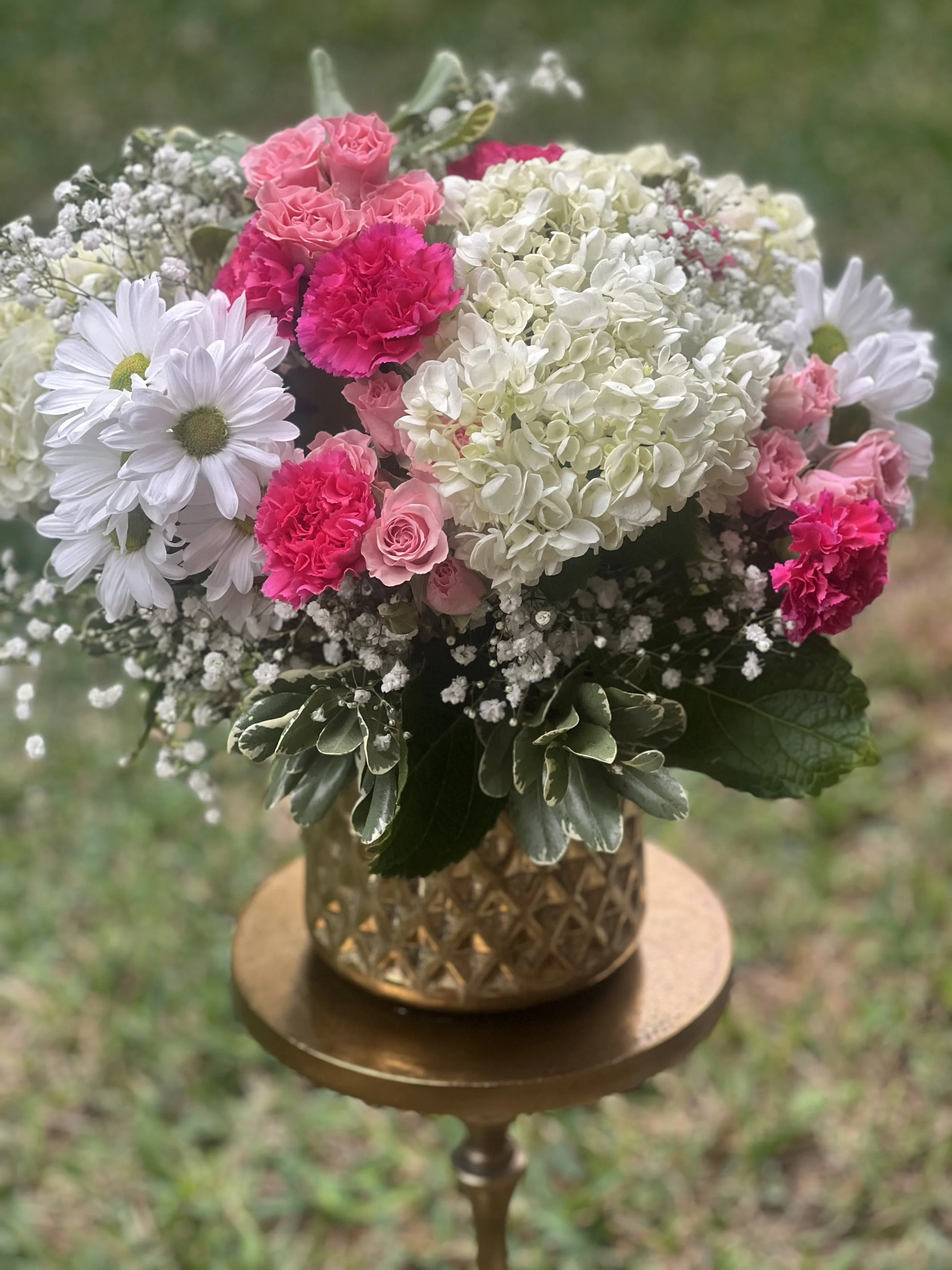 Hydrangeas medium
