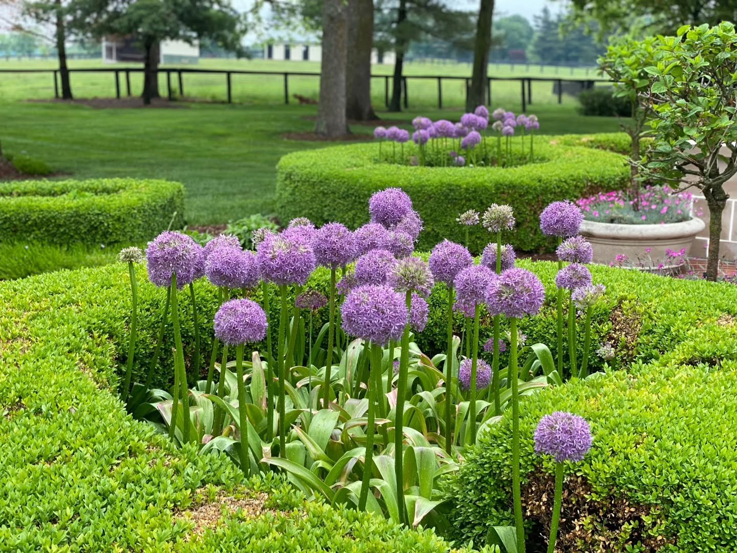 Green, grounded, and in full bloom

#OutdoorSpaces #OutdoorDesign #LexingtonKY #OutdoorOasis  #LuxuryLandscaping  #OutdoorRenovation #BeforeAndAfter  #HomeExterior