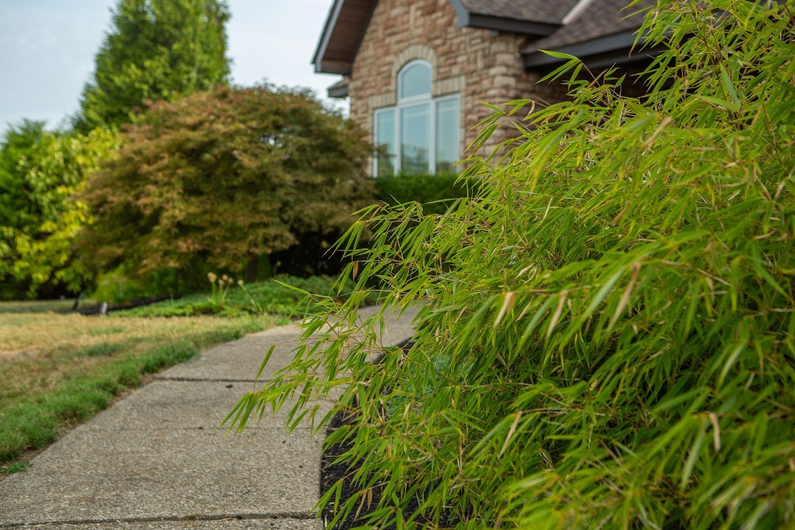 unnamed - 2026-02-04T151141.943.jpg