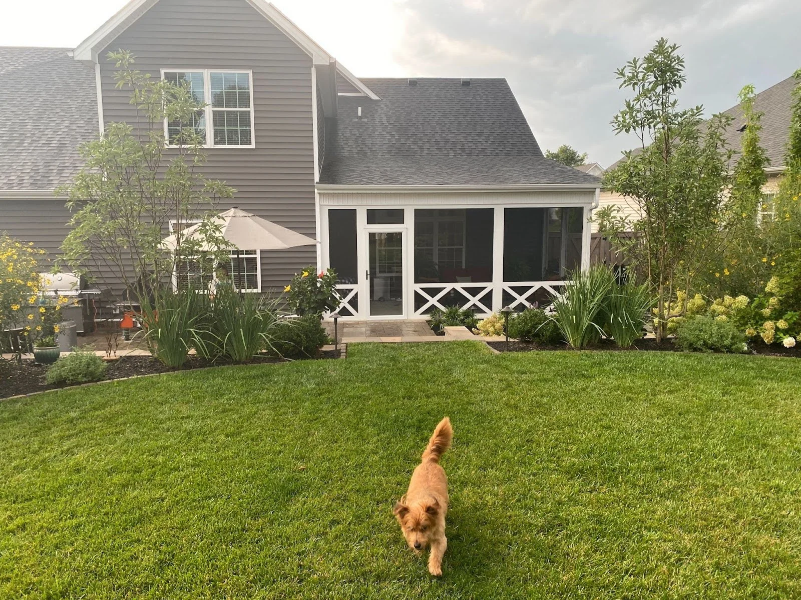 A Smarter Approach to Drainage for Your Backyard