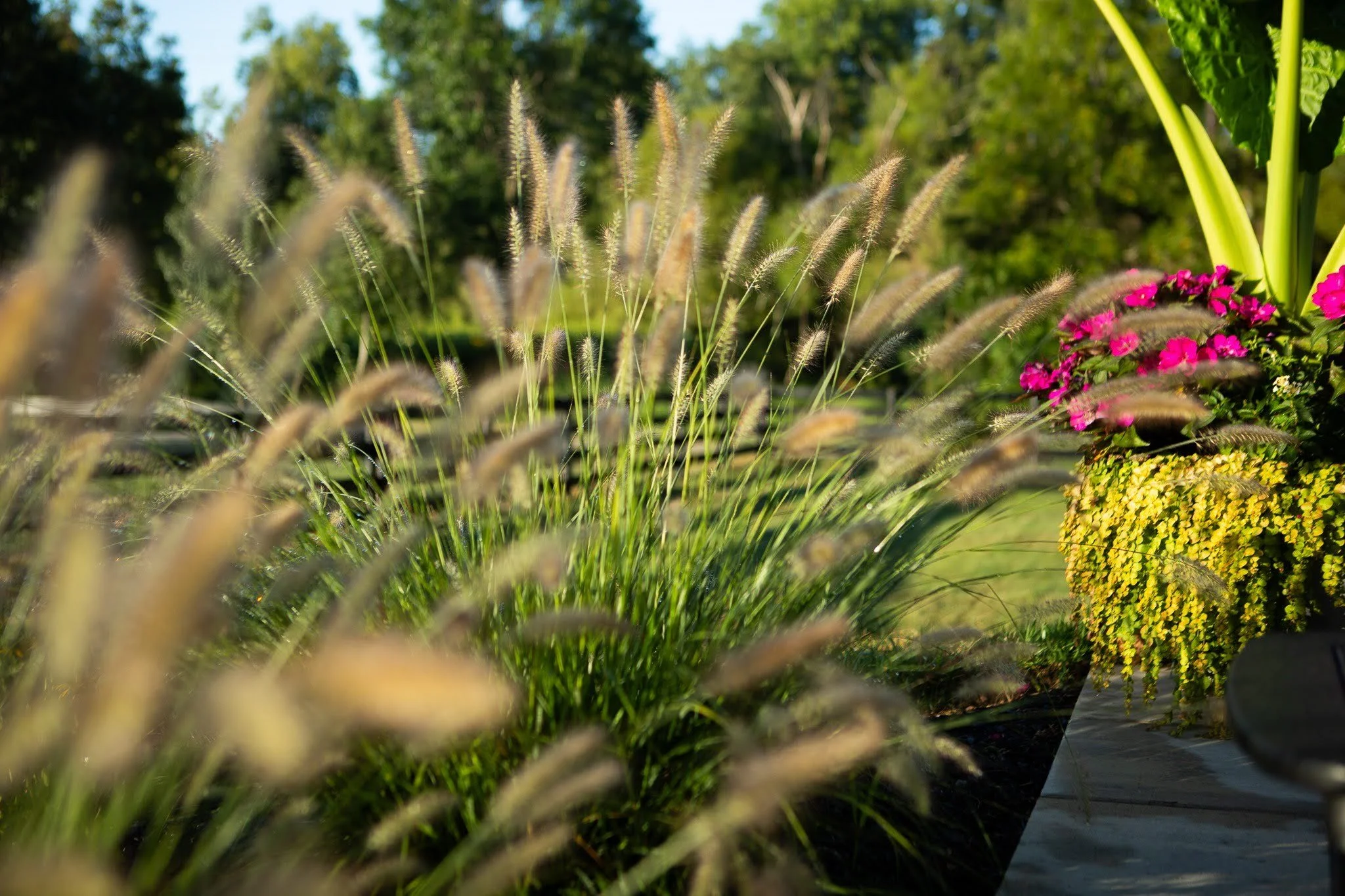 unnamed - 2026-04-21T113220.164.jpg