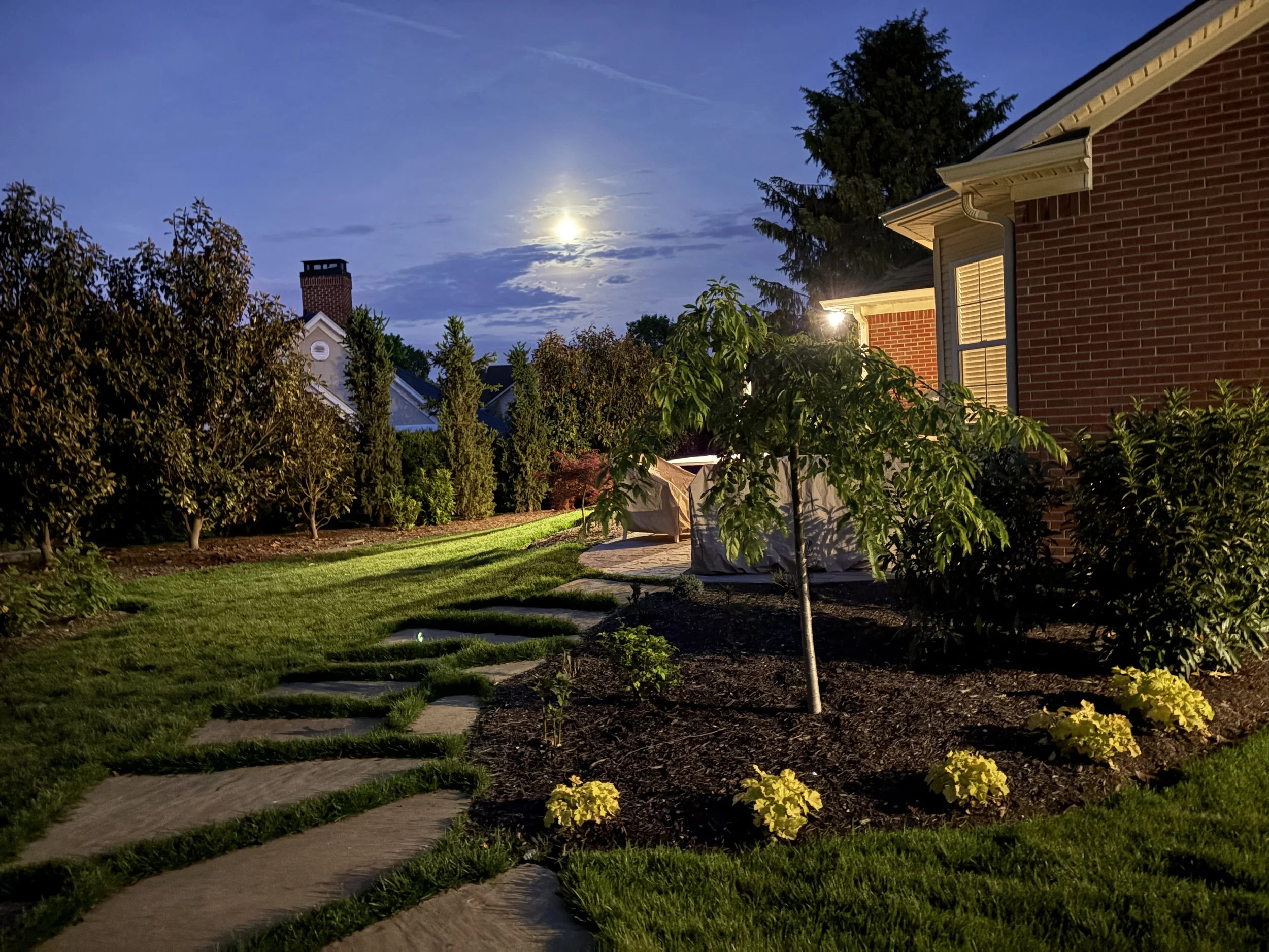 Stone walkway, landscape design