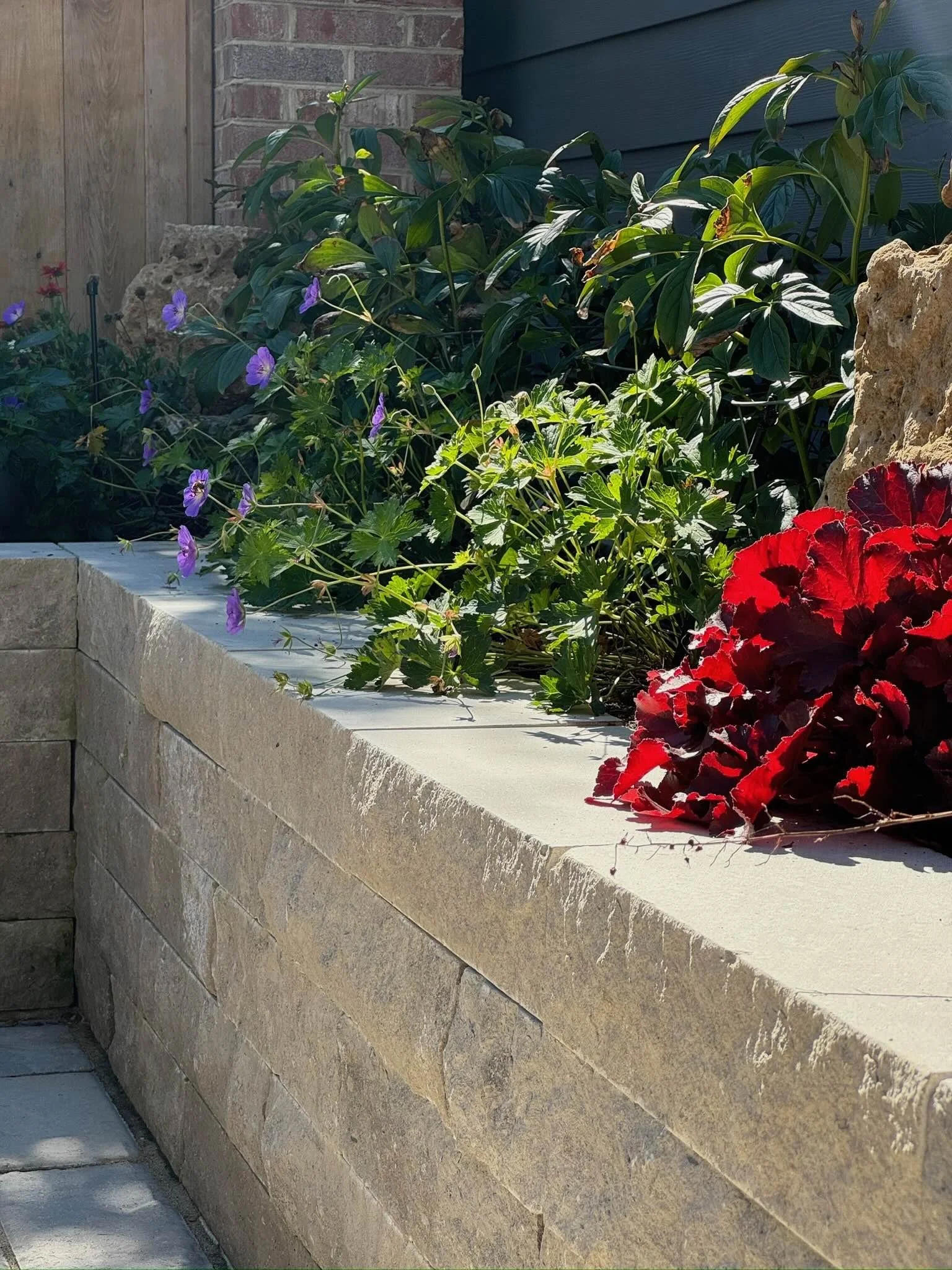 retaining wall, plantings