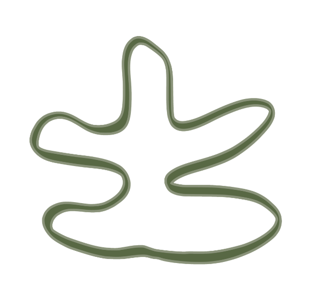 Green neon outline in the shape of a starfish.
