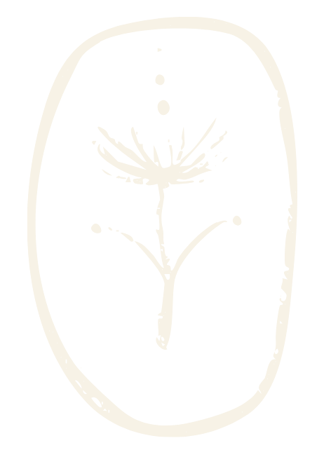 Black and white sketch of a dandelion flower with its seeds blowing away.