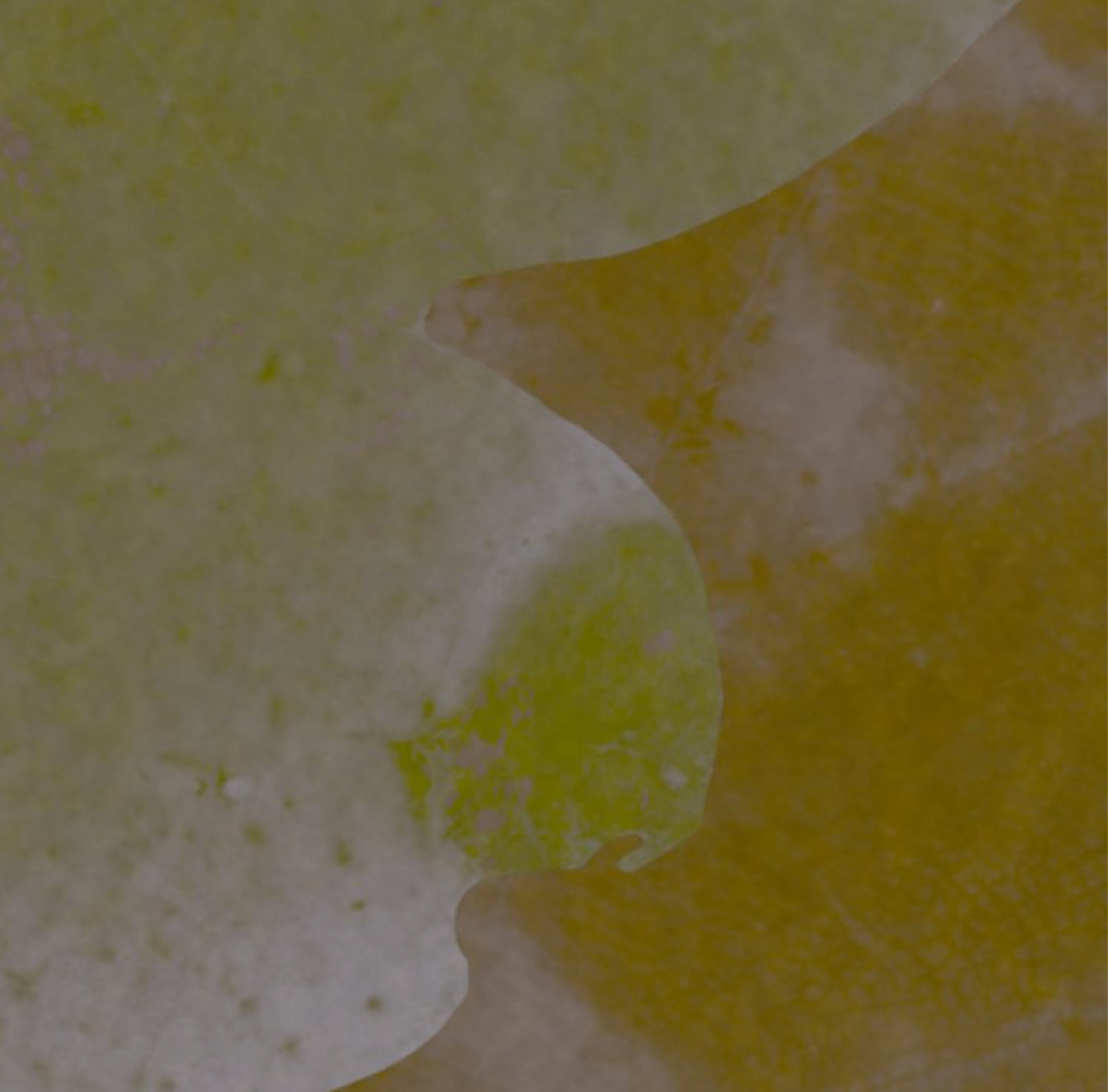 Textured green background