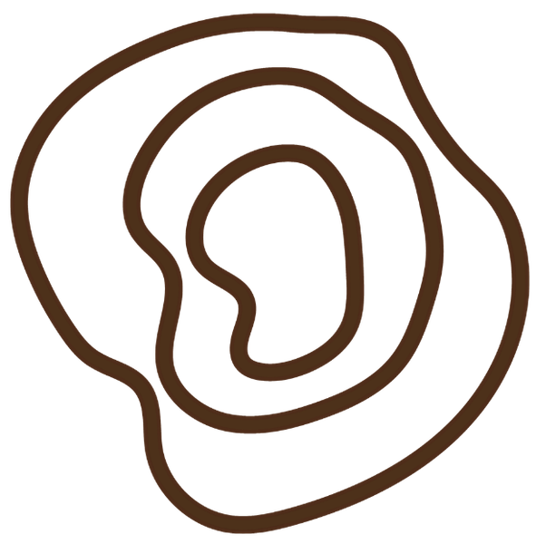 Line drawing of a tail of a pig.