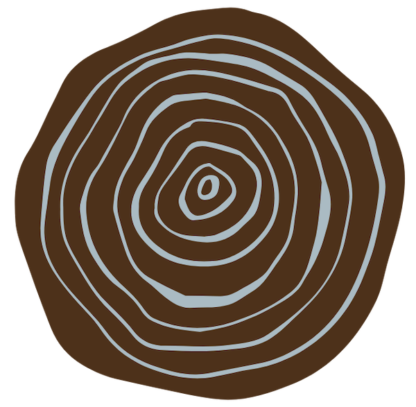 Cross-section of a tree trunk showing growth rings.
