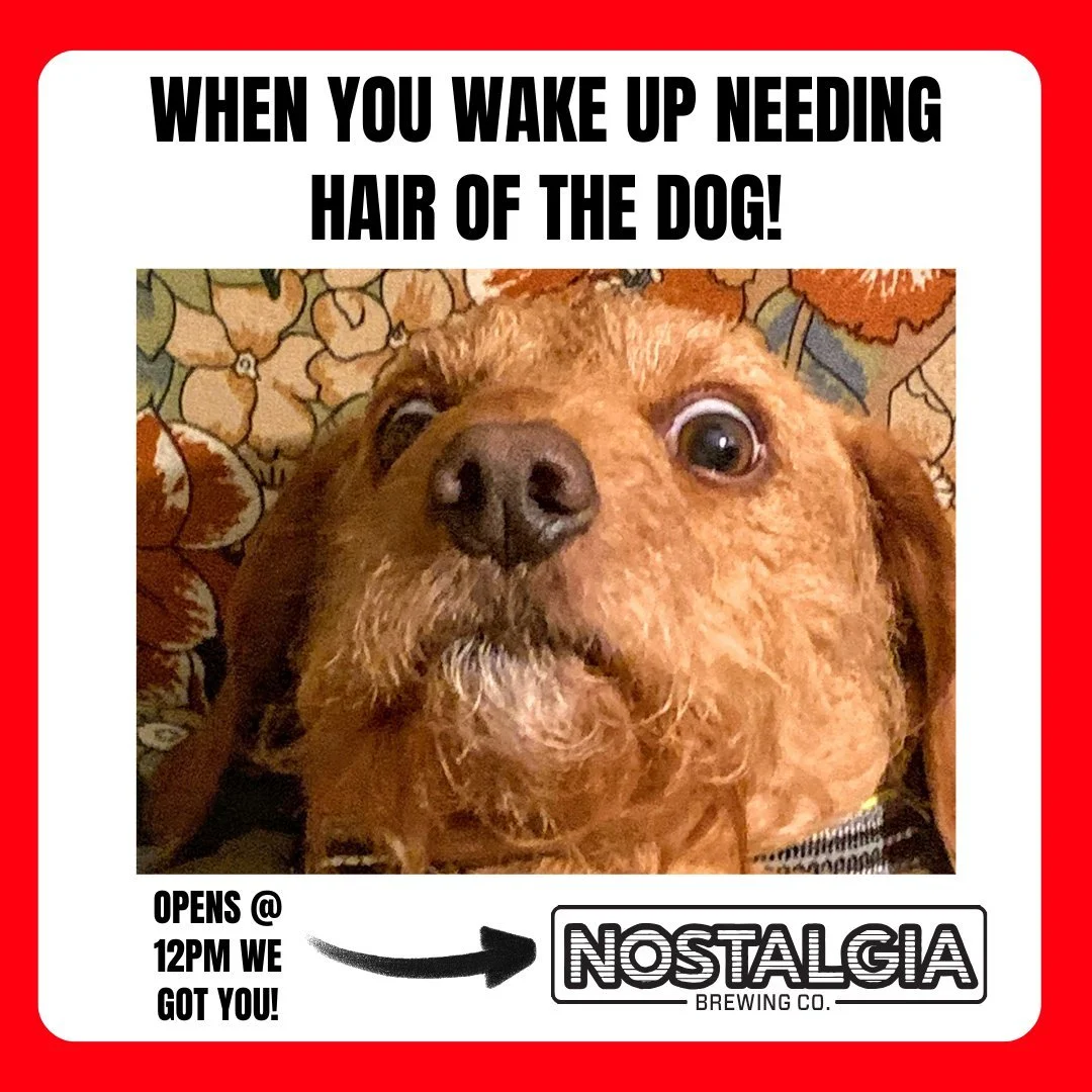 🎉 Wake up feeling like this guy on New Year&rsquo;s Day?
We&rsquo;ve got your Hair of the Dog remedy waiting. 🍺

Whether it was champagne, craft beer, or that mystery shot from your cousin's kitchen... we open at 12PM sharp on January 1st to help e
