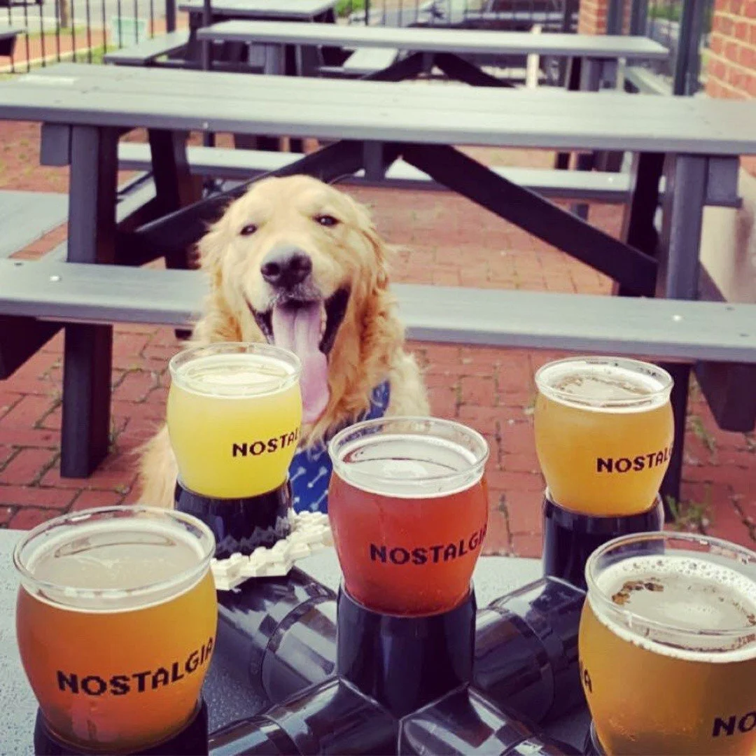 Sun&rsquo;s out, paws out 🐾☀️

Our dog-friendly patio is calling your name this week in Gahanna! Bring your pup, grab a seat, and enjoy a flight of 5 beers for $15 while soaking up that sunshine.

🍻 Happy Hour (Wed&ndash;Fri 4&ndash;6pm): $5.50 Nos