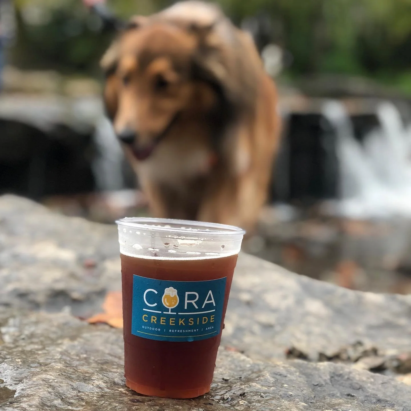 Thursday plan: grab a CORA cup and take the scenic route. ☀️

When the temps are doing the most, a shaded stroll through Creekside Park sounds like the move. Pick up your favorite pour, wander by the water, and make a hot summer evening feel a little