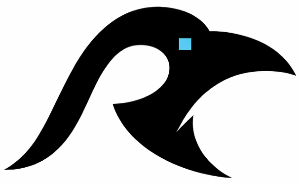 Bright Raven Decision Intelligence