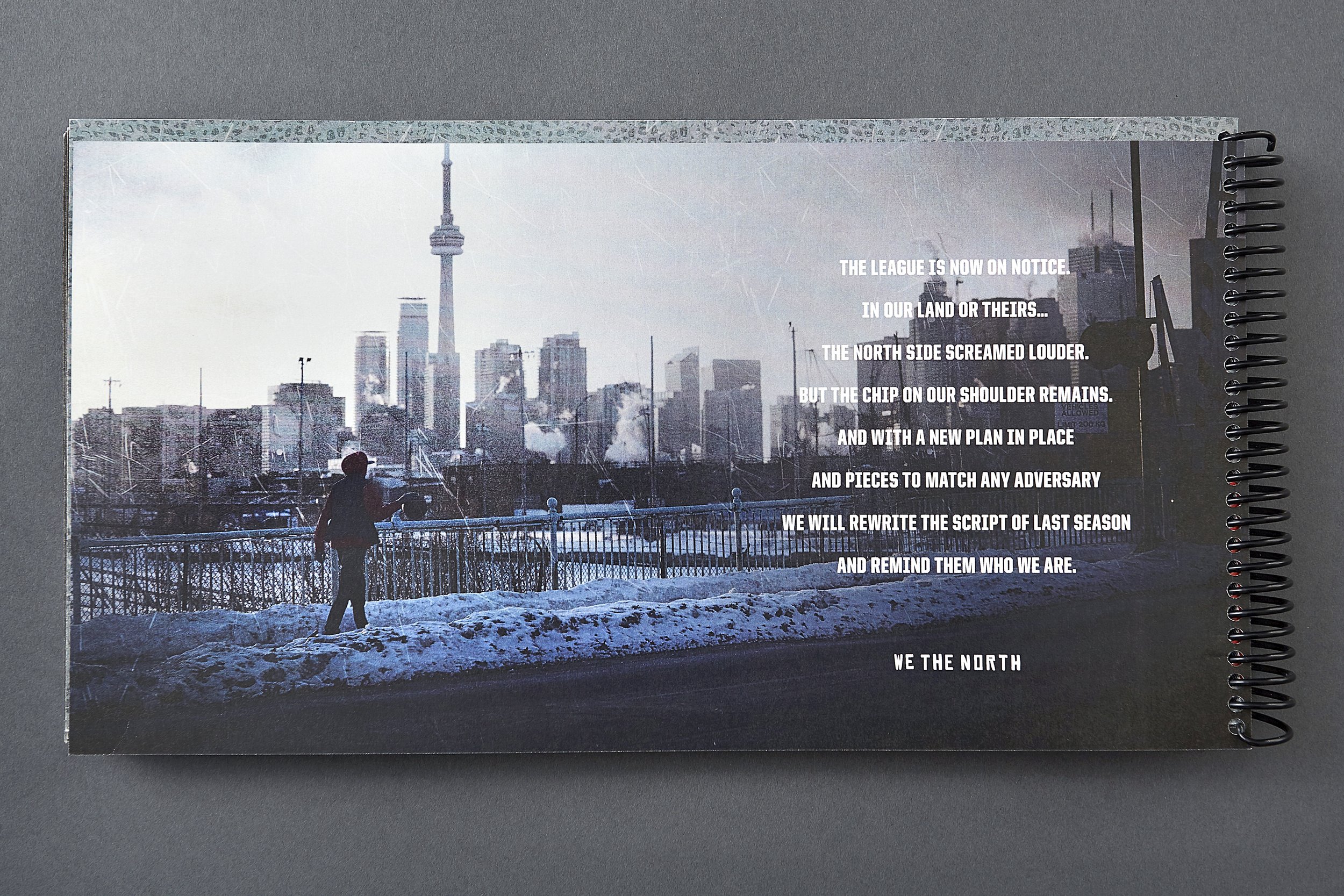 RaptorsSeasonTicketPackage_DESIGN_Other_CLIOSportsAwards3.jpg