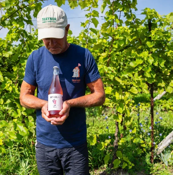 Traynor Family Vineyard