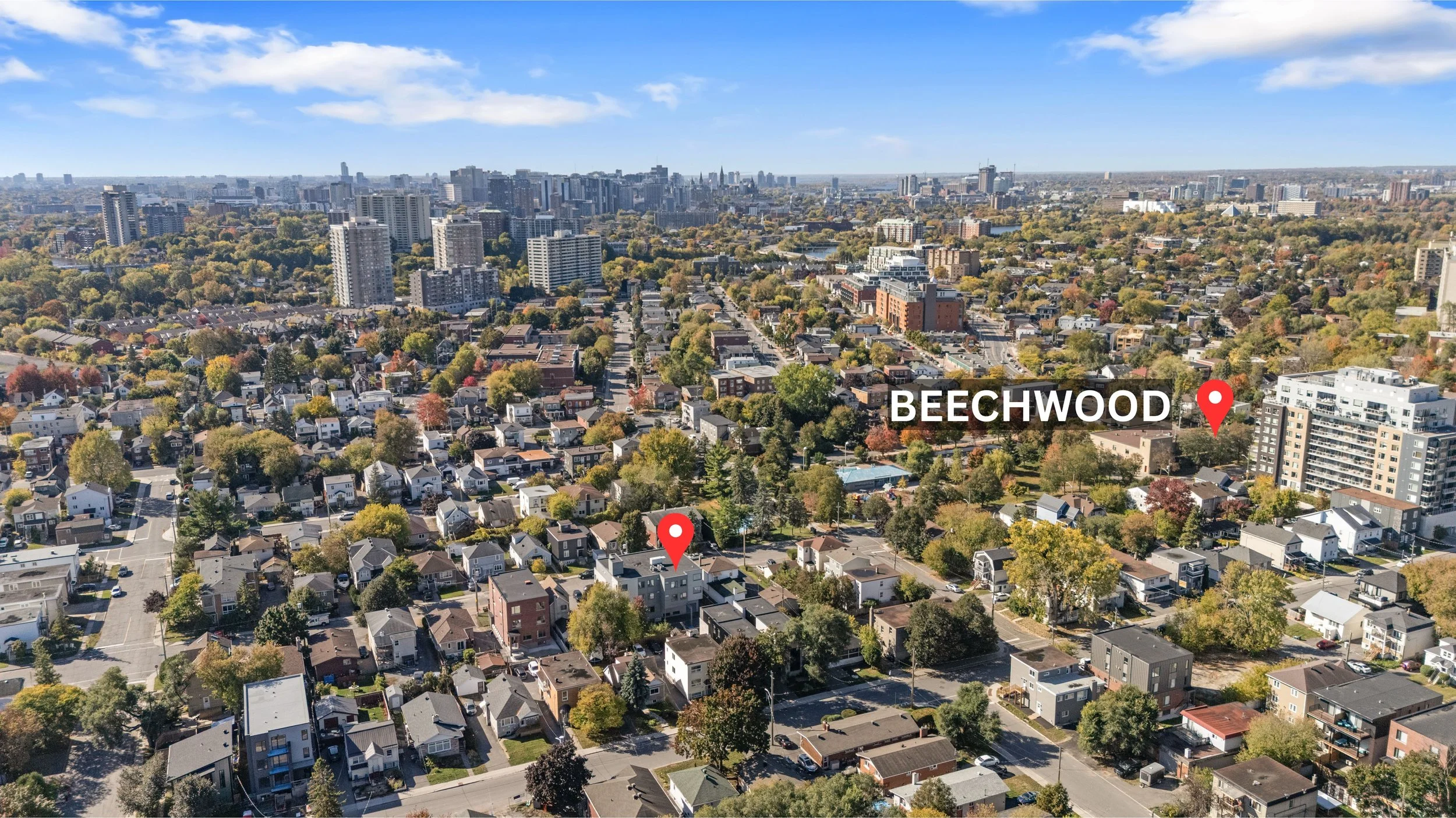 BEECHWOOD.jpg