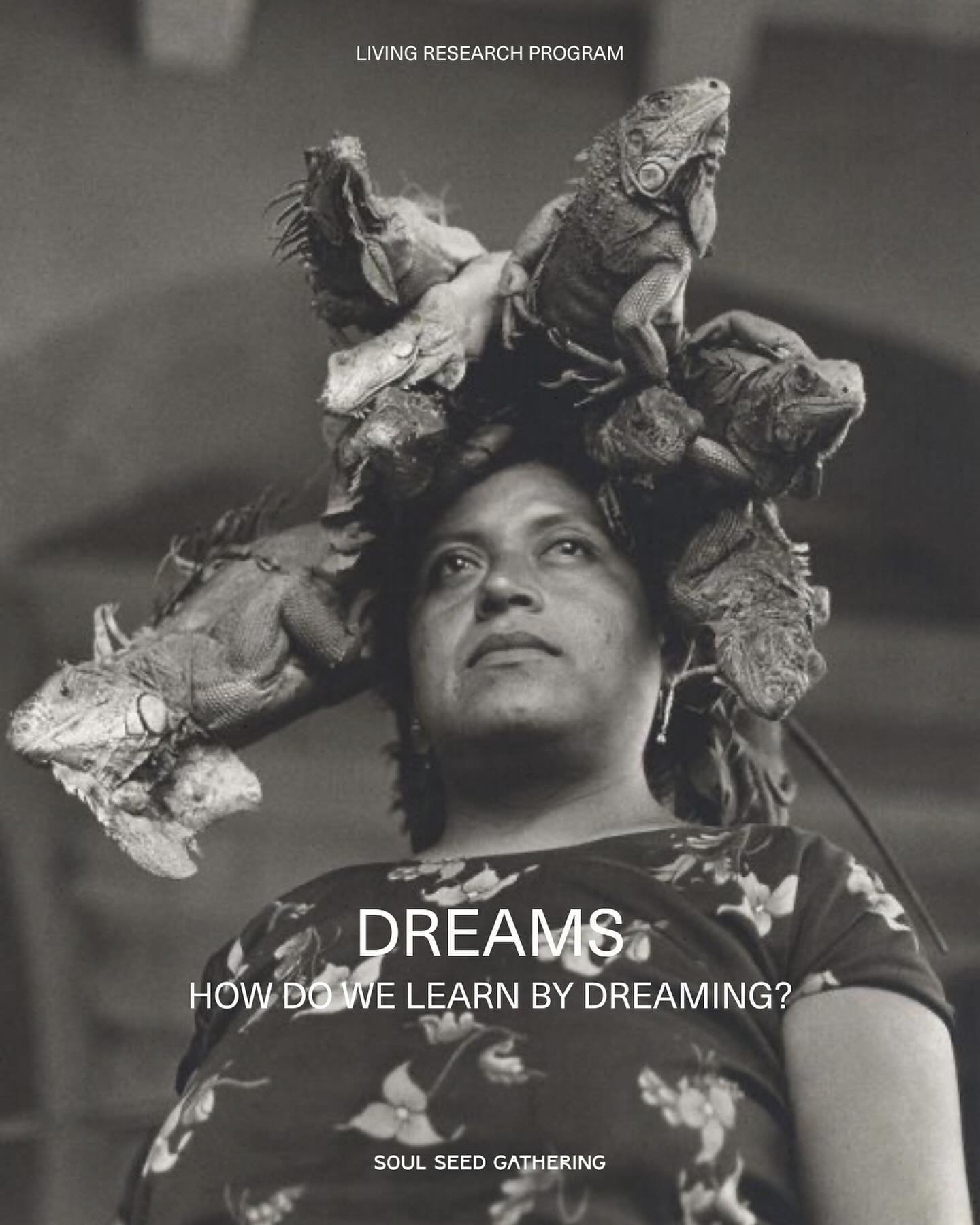 DREAMING
&mdash; how do we research with dreams?

Throughout time, dreams have been an integral, and central, part of earth-based cultures spiritual practices, providing guidance, insight, divination, communication with the &lsquo;more-than-human-wor