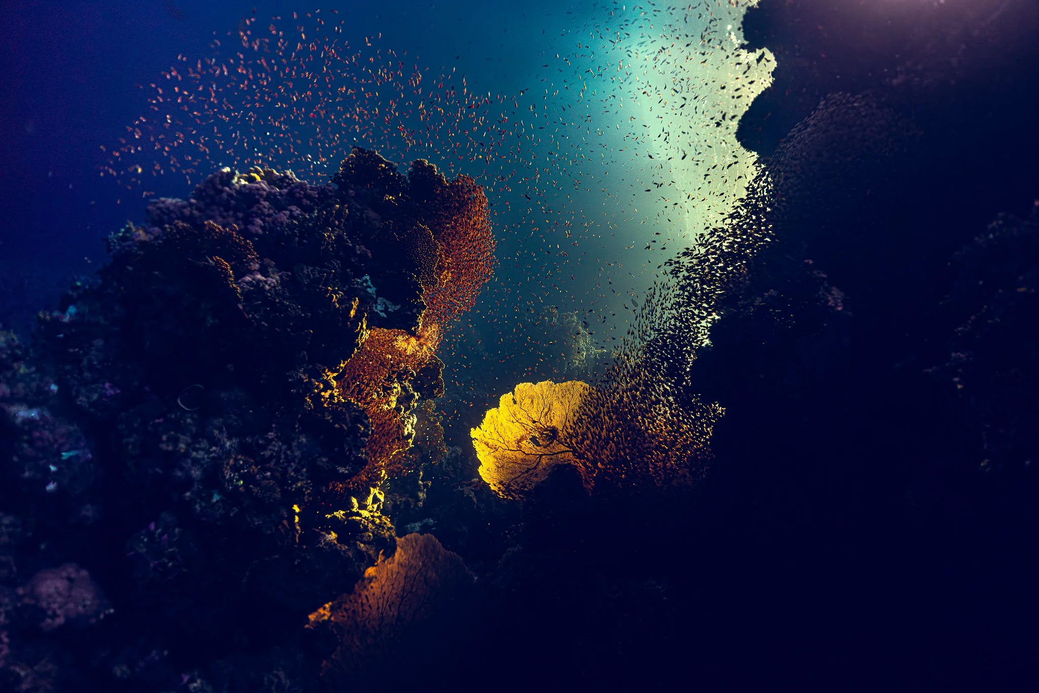 Eslam Piko Studios Photography-98.JPG