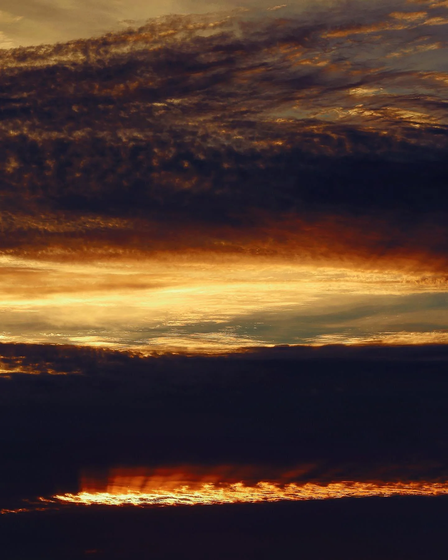 Pictures-450.jpg