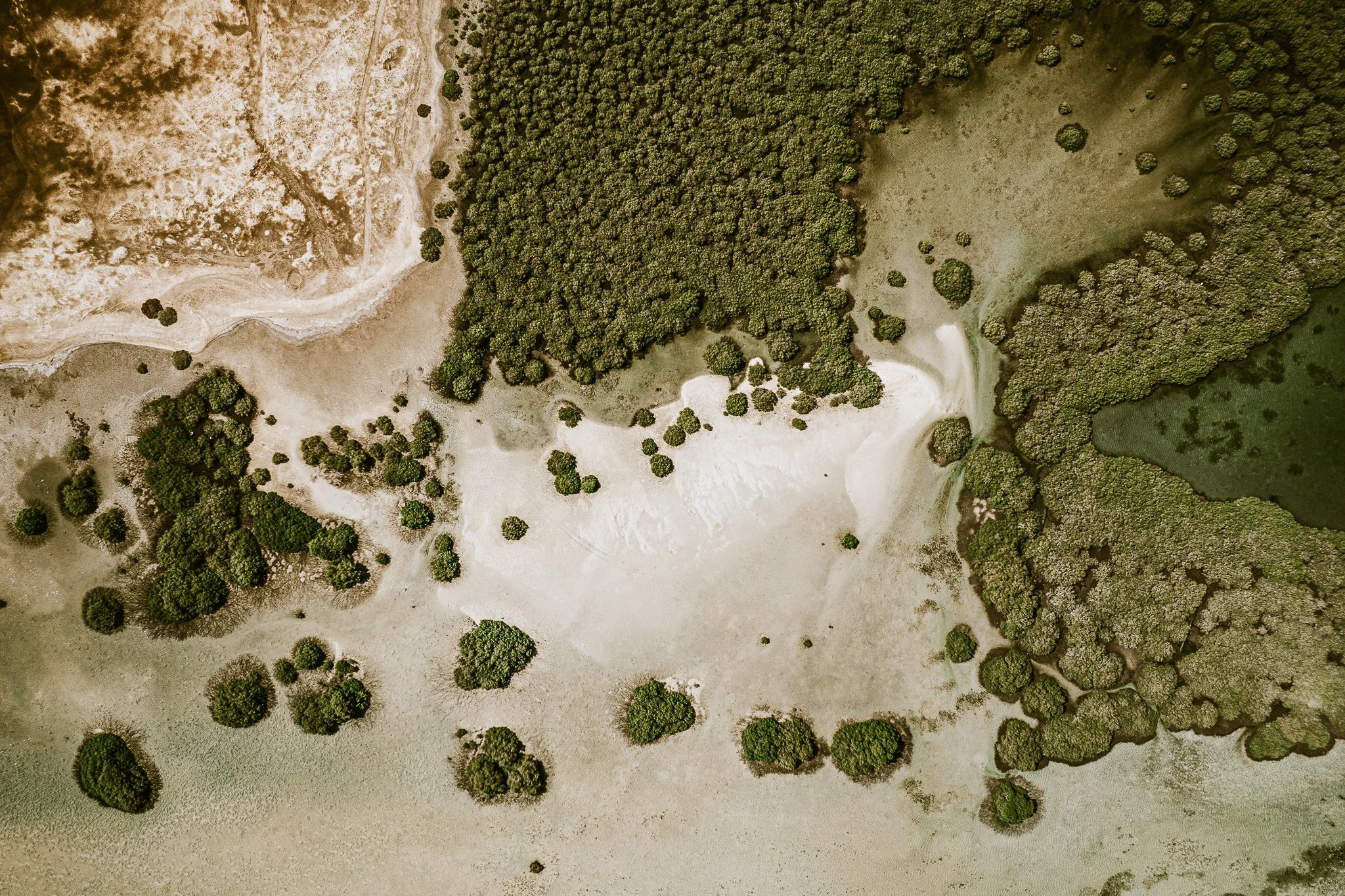 Eslam Piko Studios X Dolphon Trip-15.JPG