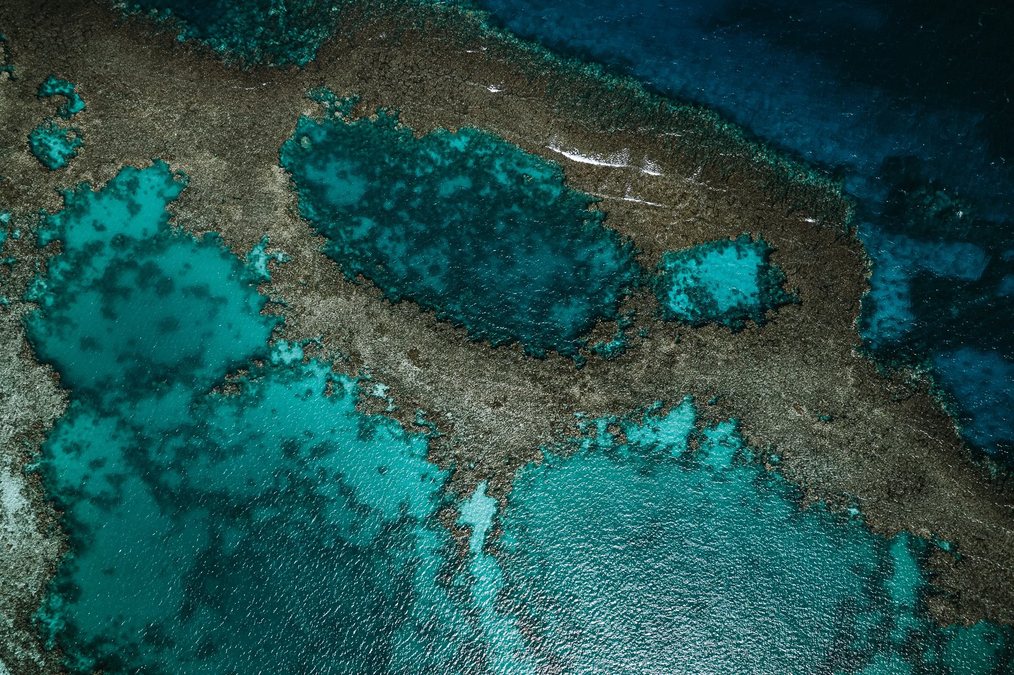 Eslam Piko Studios X Dolphon Trip-22.JPG