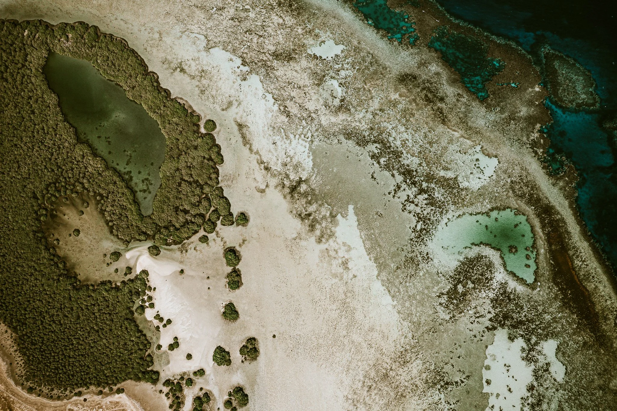 Eslam Piko Studios X Dolphon Trip-19.JPG