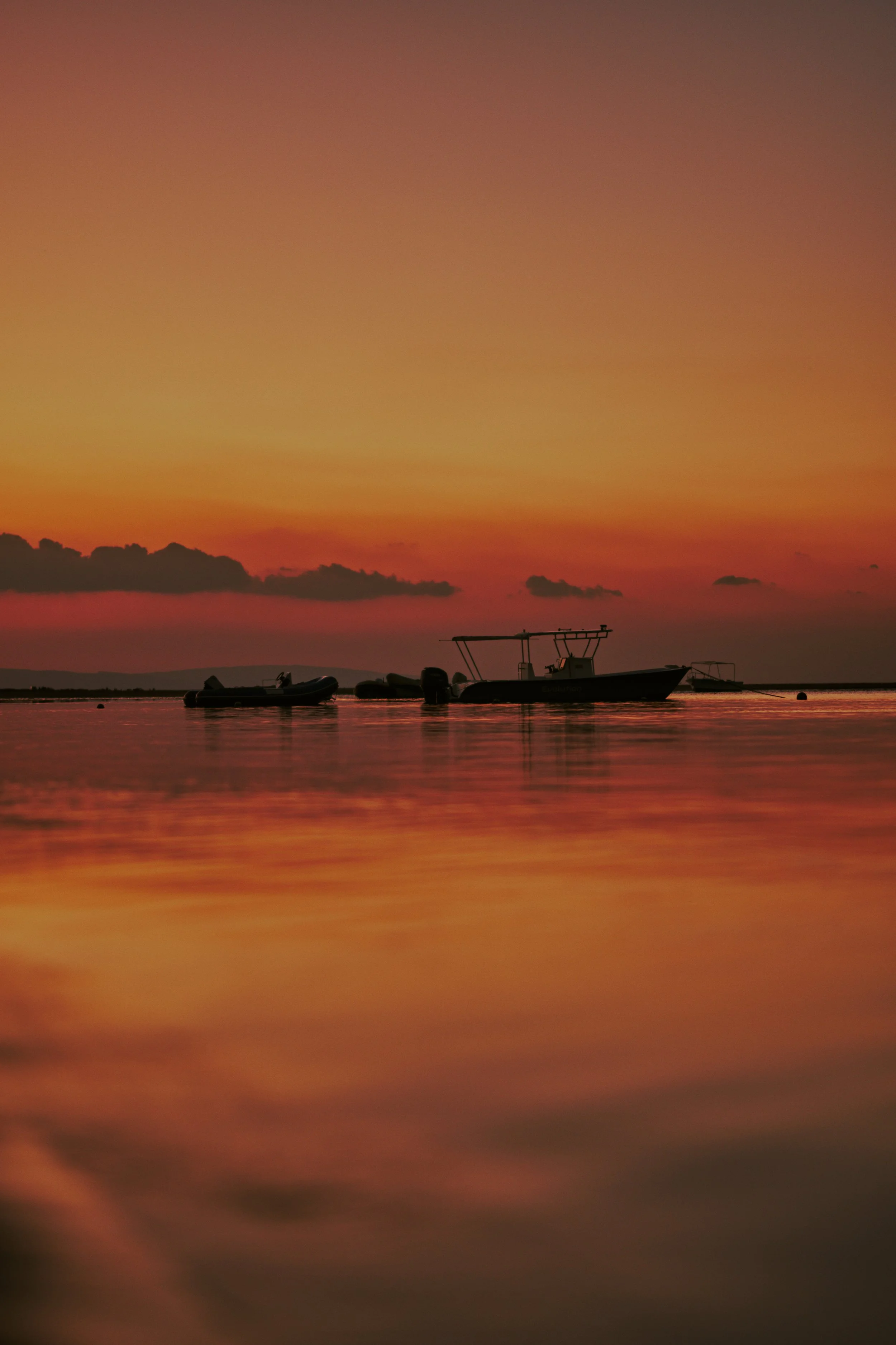 Pictures-551.jpg