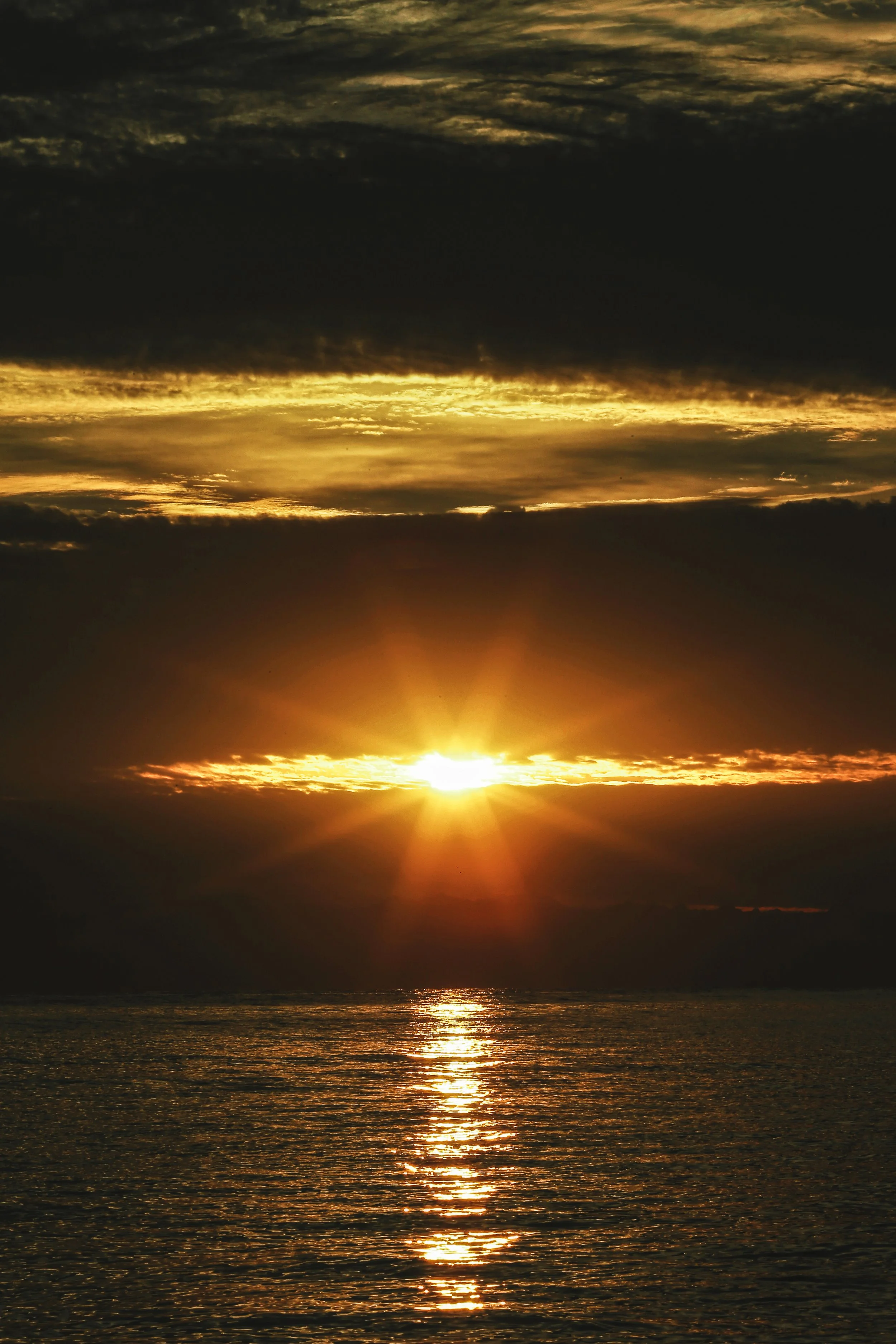 Pictures-520.jpg