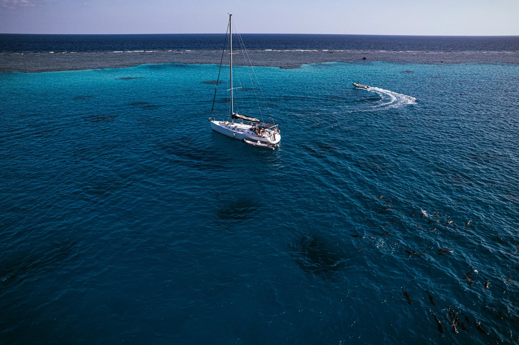 Eslam Piko Studios X Dolphon Trip-11.JPG