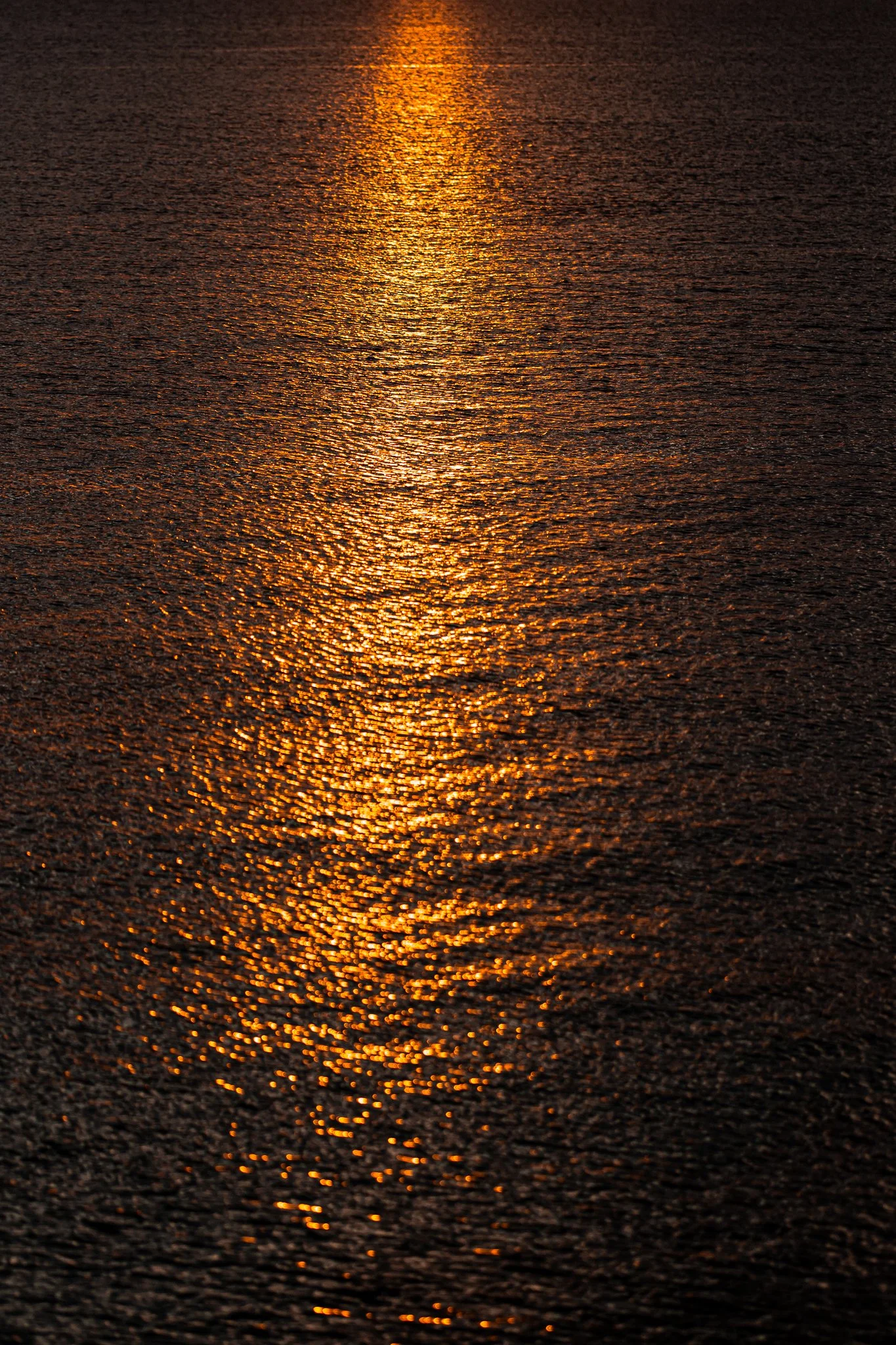 Eslam Piko Studios Photography-76.JPG