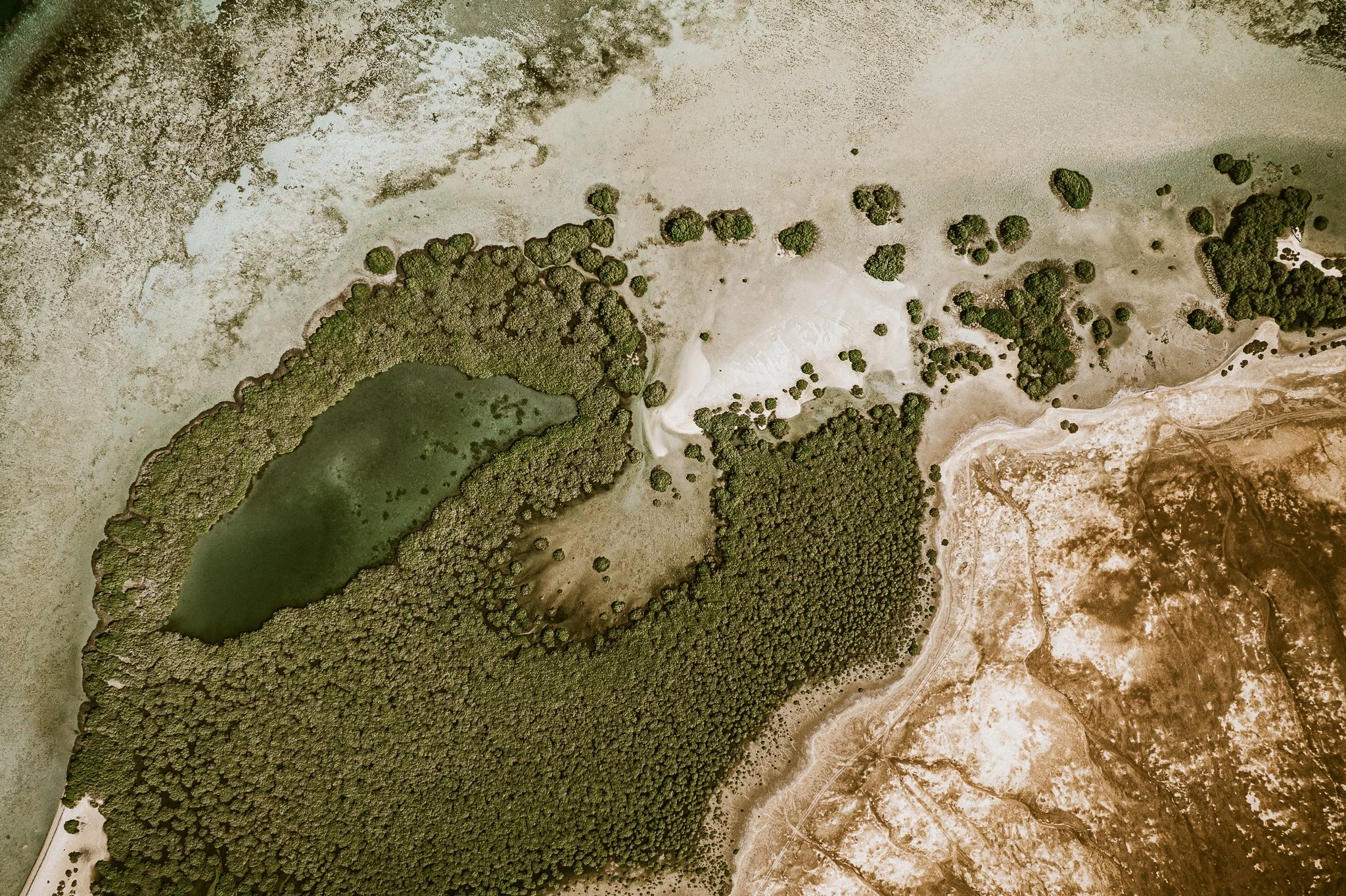 Eslam Piko Studios X Dolphon Trip-18.JPG