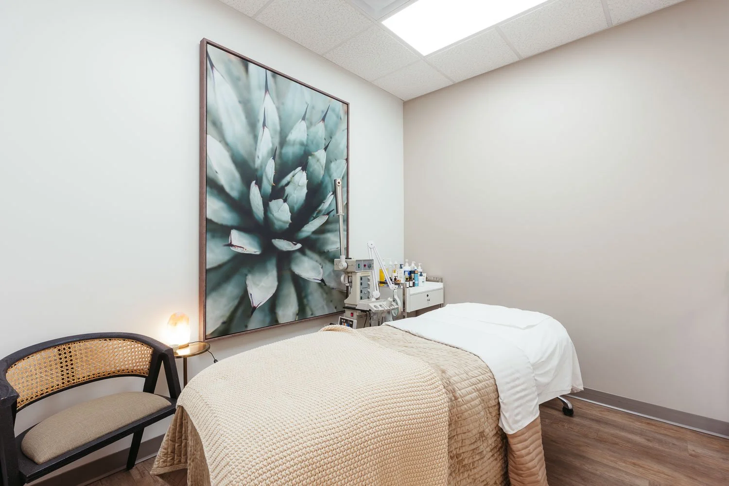 A treatment with bed, medical equipment, a potted plant, a framed abstract art piece on the wall, a chair, and wooden flooring.