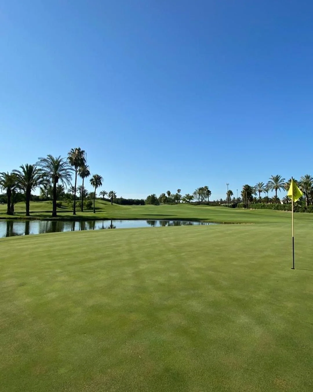 Allumette - Golf Courses - Real Club Sevilla Golf