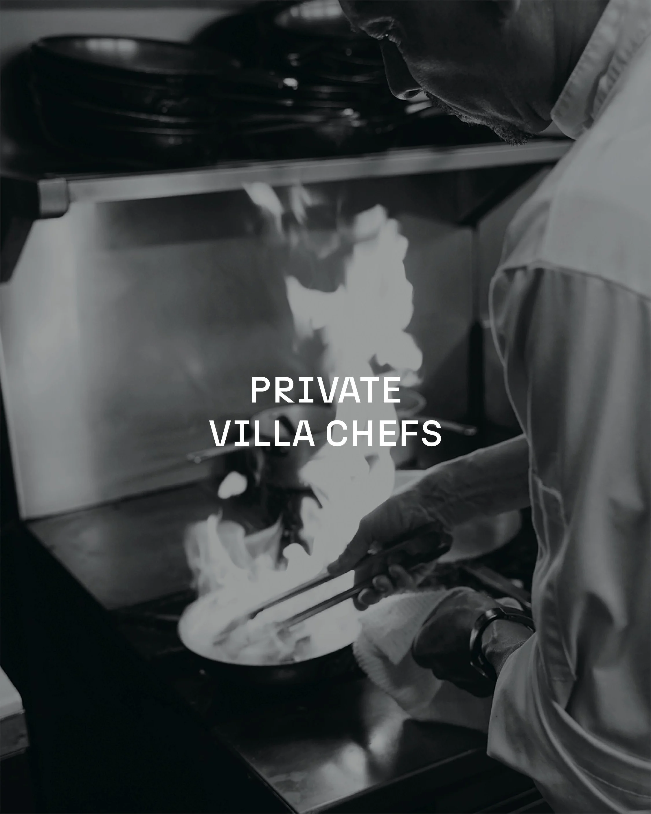 Culinary mastery of talented chefs 