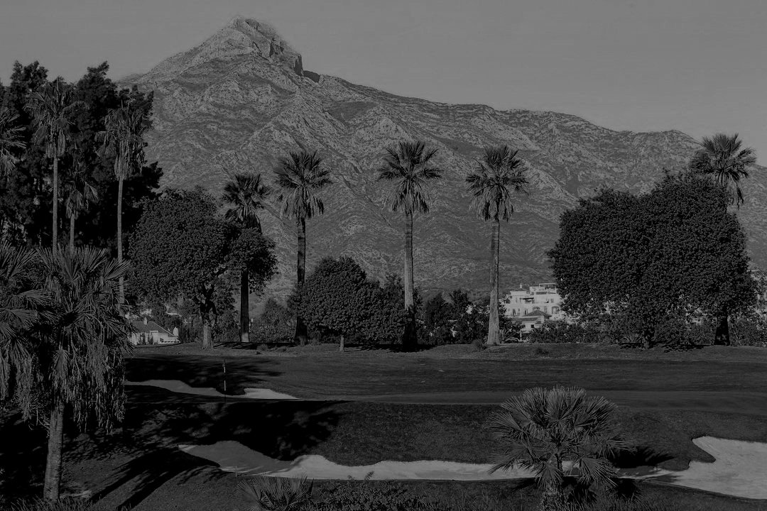 REAL CLUB DE GOLF LAS BRISAS