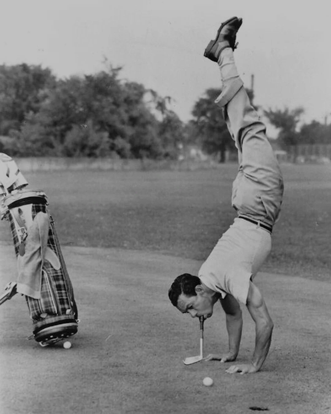 GOLF CADDIE